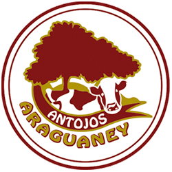 Logo-Antojos-Araguaney